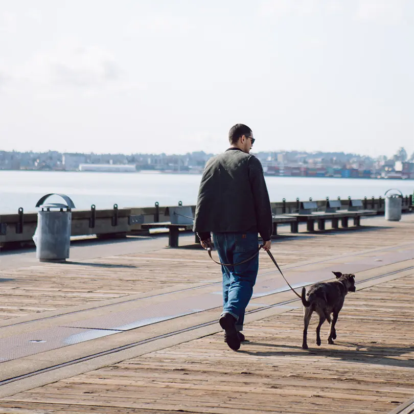 A man walking his dog along the Shipyard pier in North Vancouver