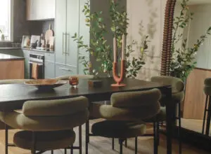 Netflix designer teams up with North Shore developer